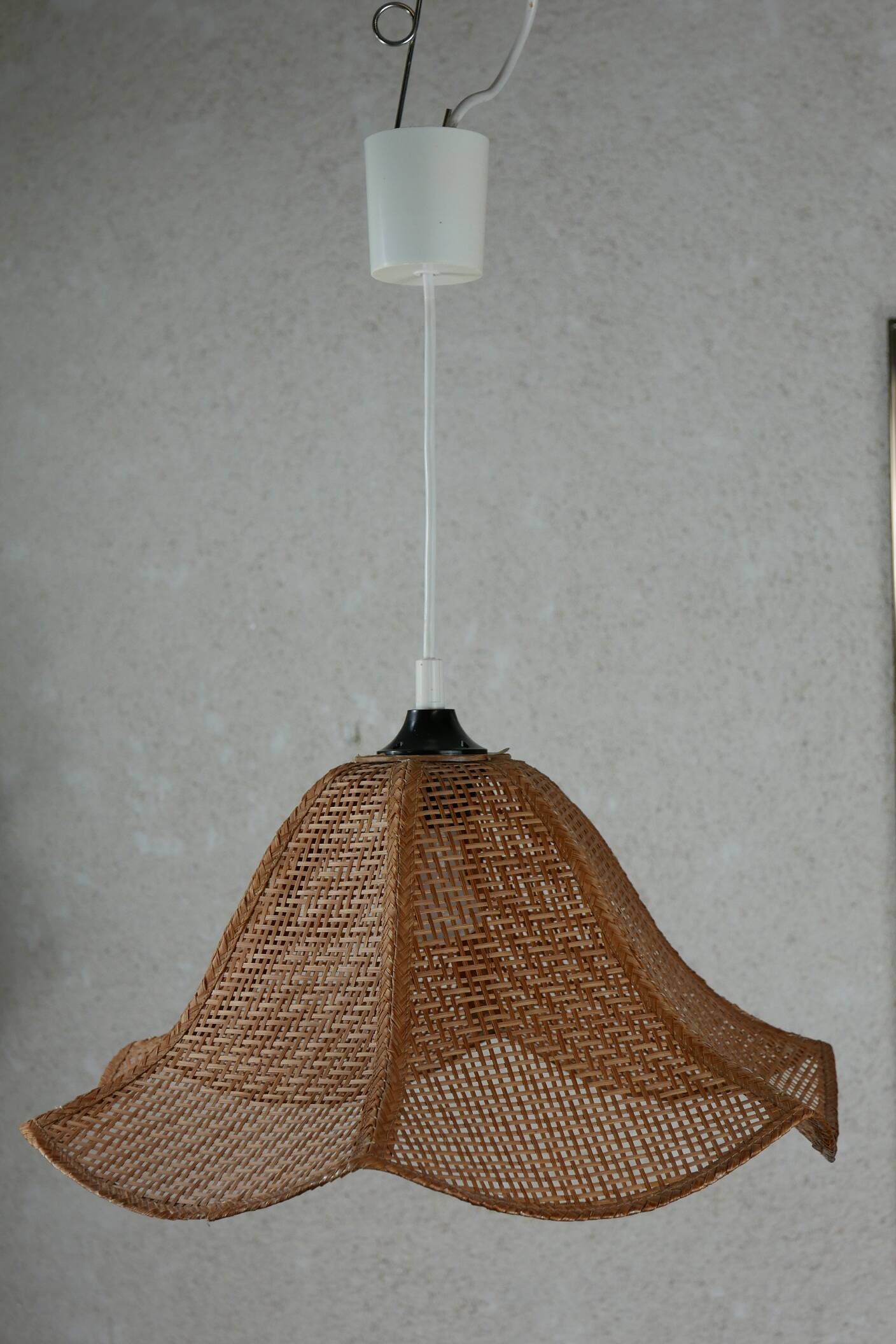 Rattan pendant light