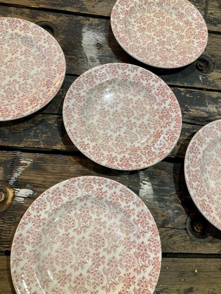 Lot of 5 plates Red Gien