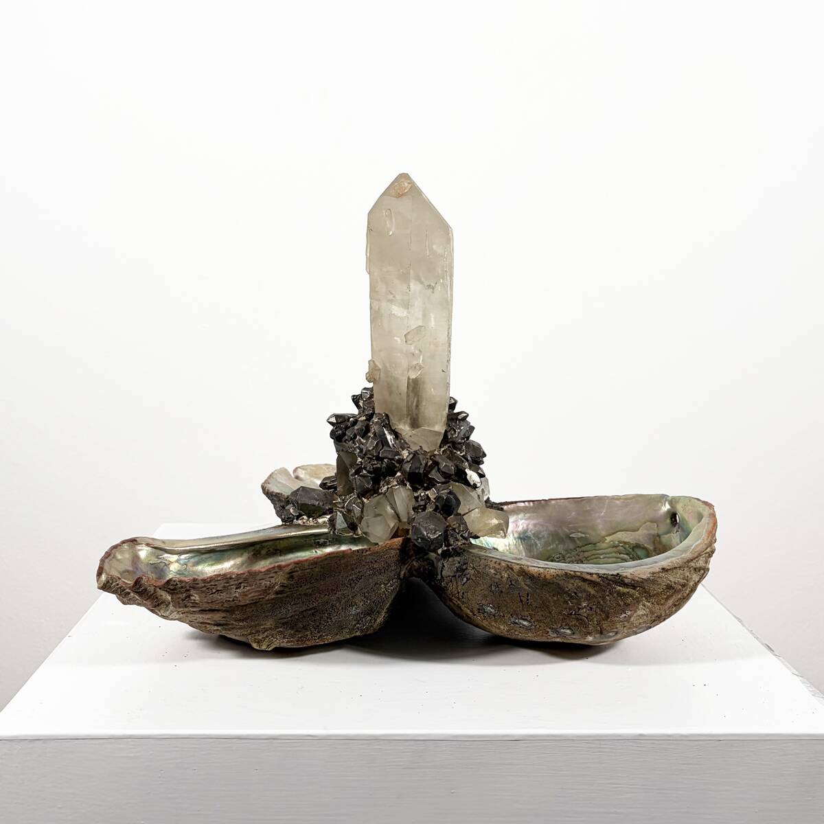 Trifonbte par paola crema