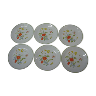 6 assiettes en porcelaine fleuries 1970