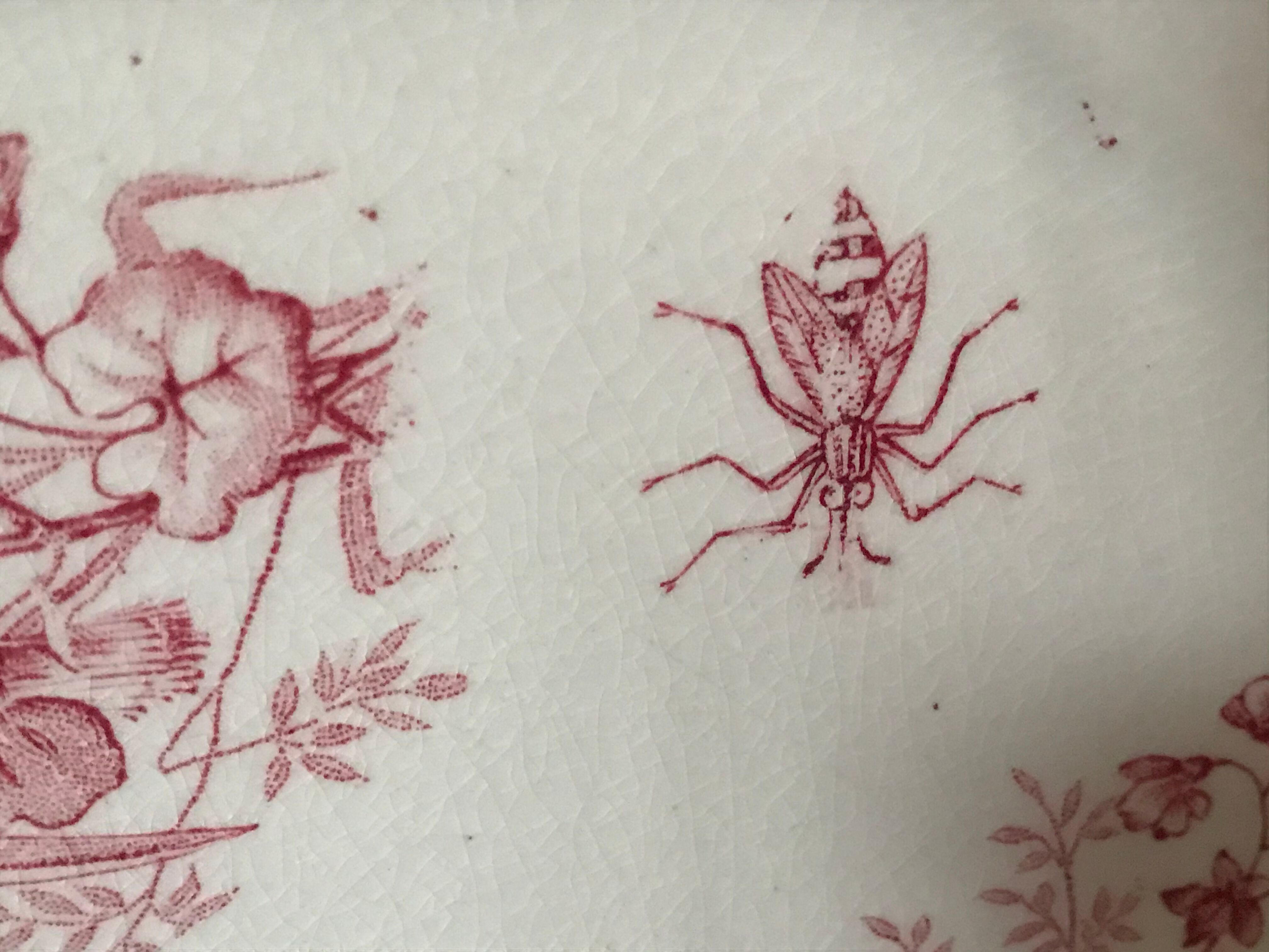 Lot of 9 plates iron earth circa 1900