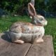 Hand-painted retro rabbit terrine Caugant 💐