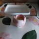 Beurrier Villeroy & Boch modèle Wild Roses