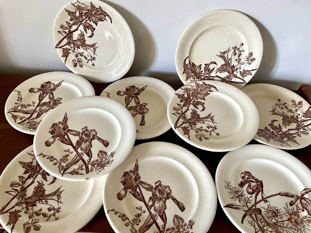 Set of 10 sepia plates, Terre de Fer flower pattern, 1900