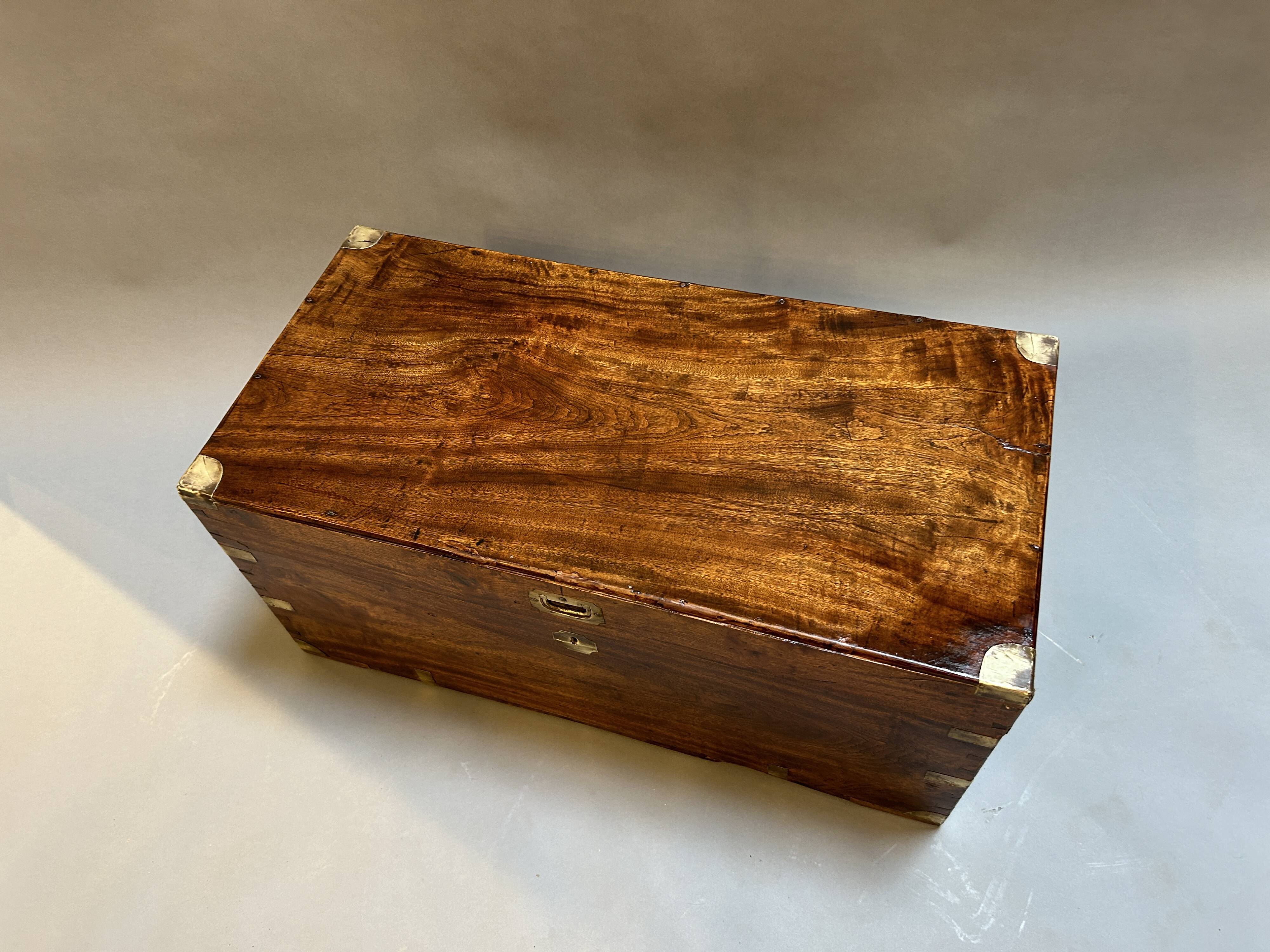Campaign camphor trunk chest