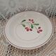 Old dish Salins France