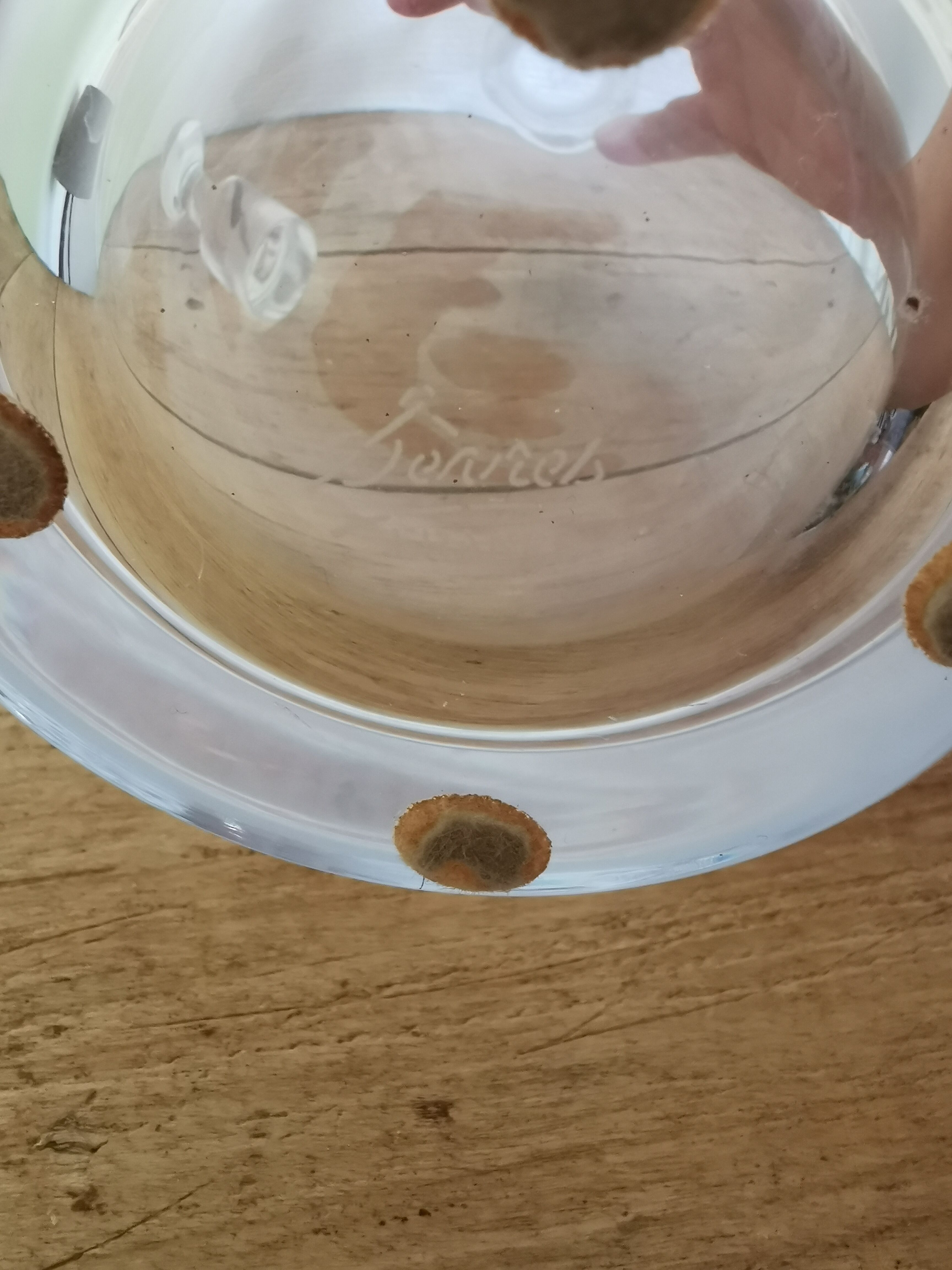 Crystal ewer of Sèvres