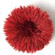 Jujuhat rouge 50 cm