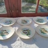 6 flat oval plates Salins