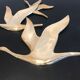 Birds in brass flight