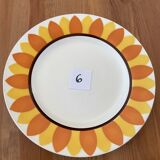 Flat plates model TOURNESOL DIGOIN