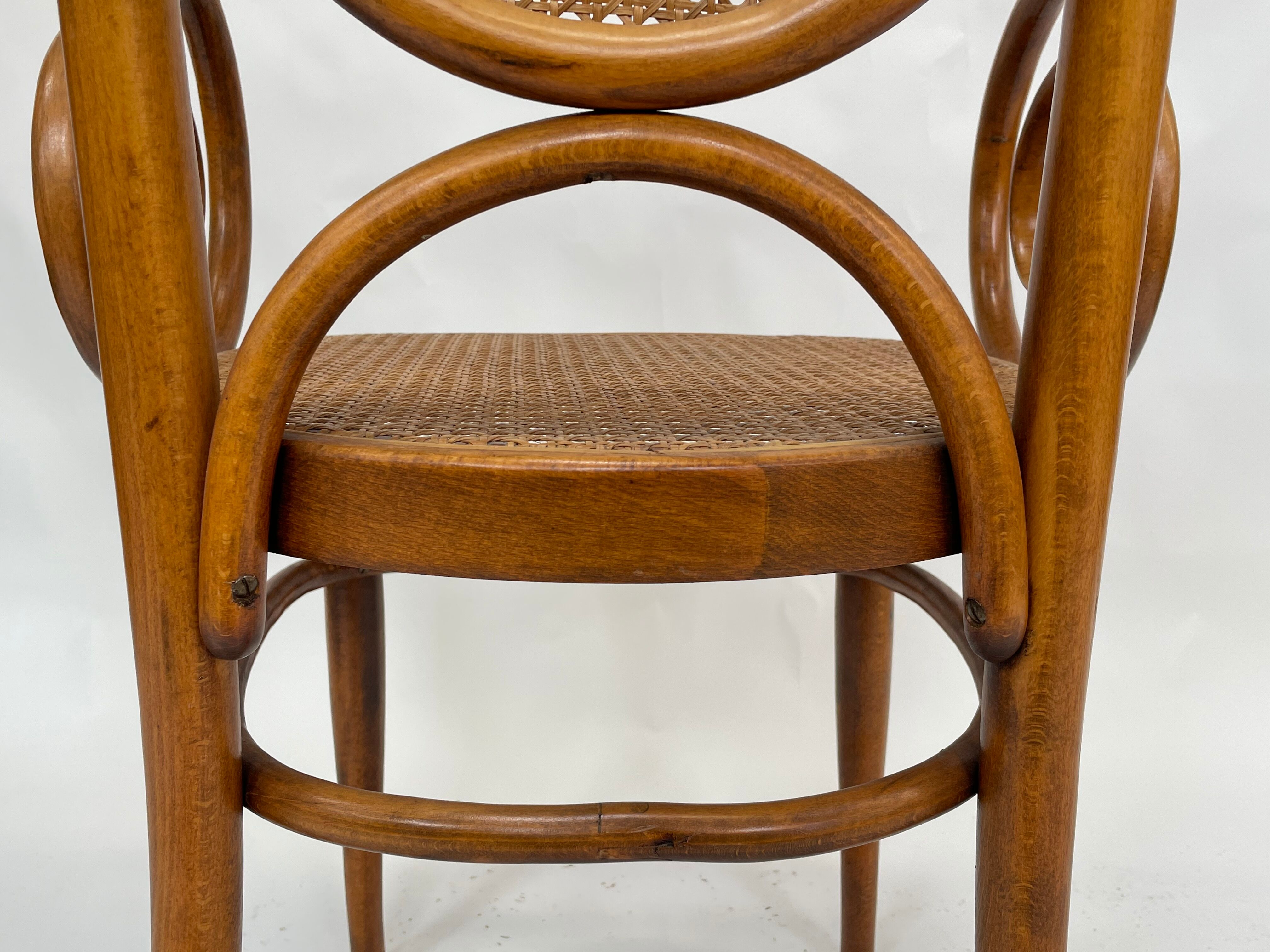 Sculptural bendwood side chair model