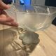 Pedestal bowl