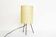 German 'cocoon' table or desk lamp