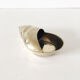 Vintage brass shell ashtray