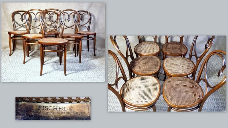 6 art nouveau chairs Fischel N°39 around 1900