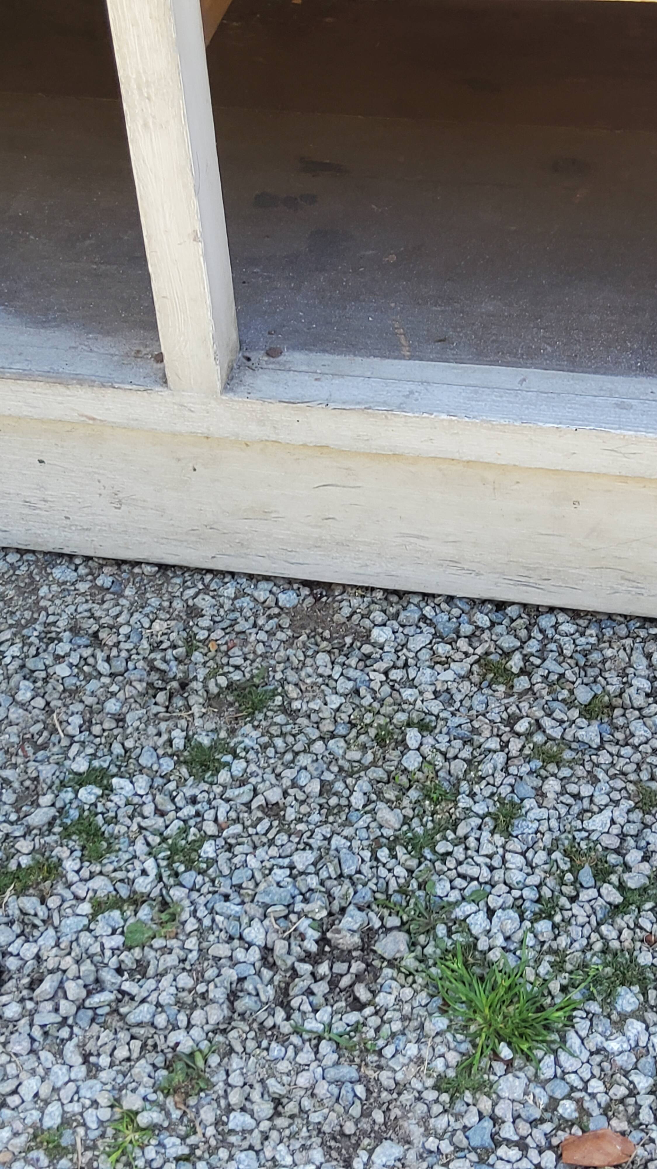 Grocery counter from the 30s