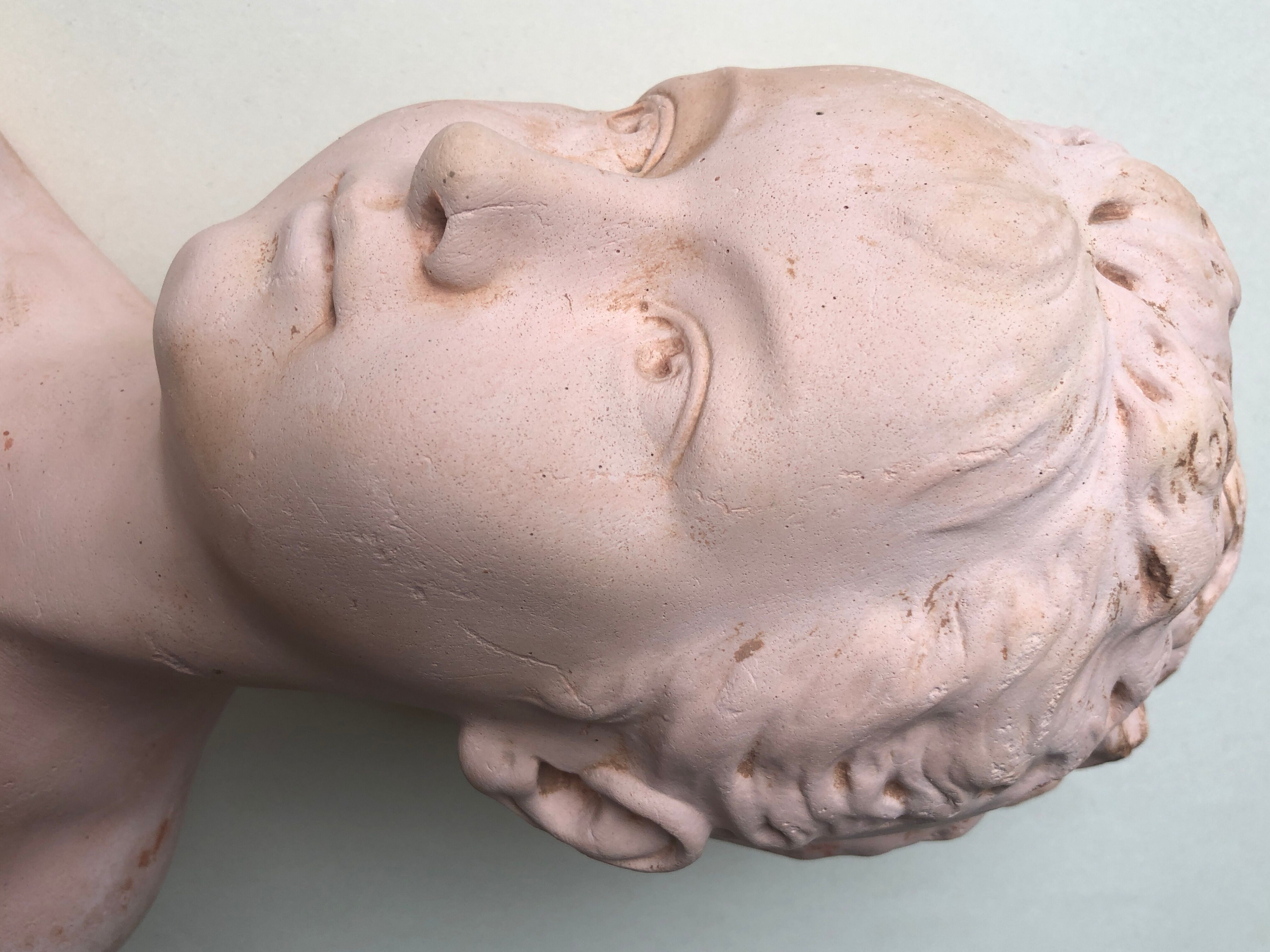 Plaster bust