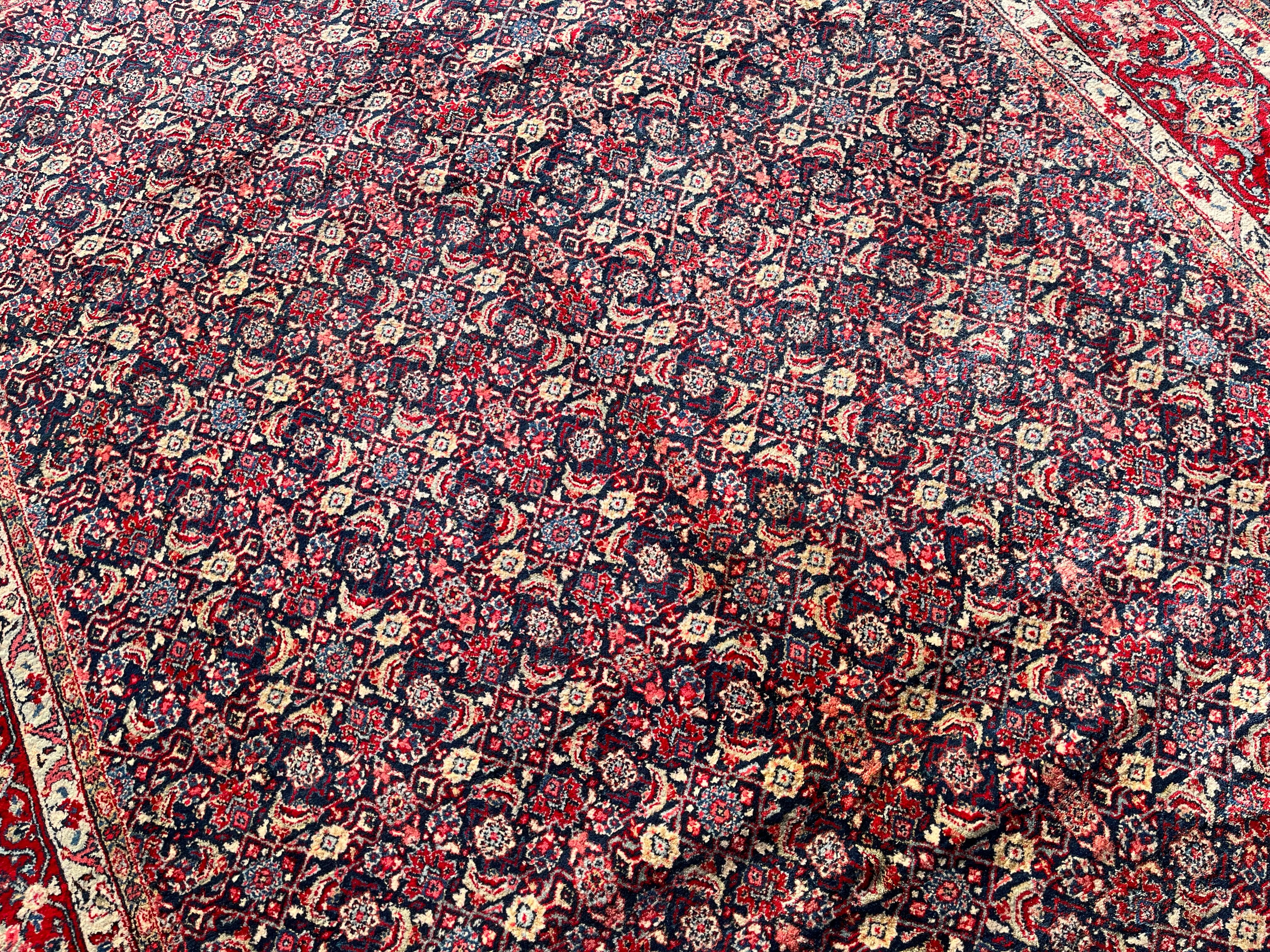 Tapis Sarough Mahal Vers 1960. 340x239 cm
