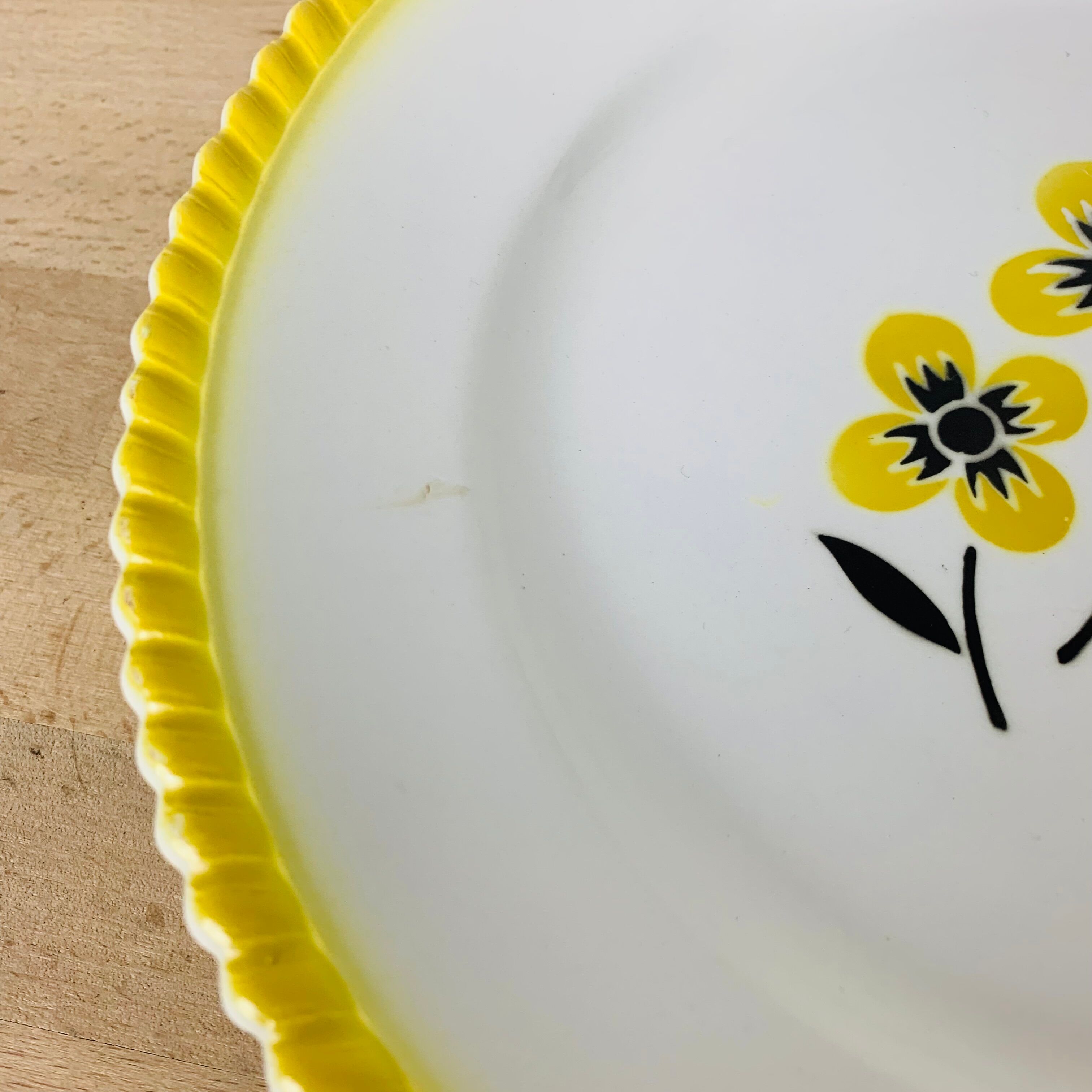 Set of 6 flat plates vintage earthenware