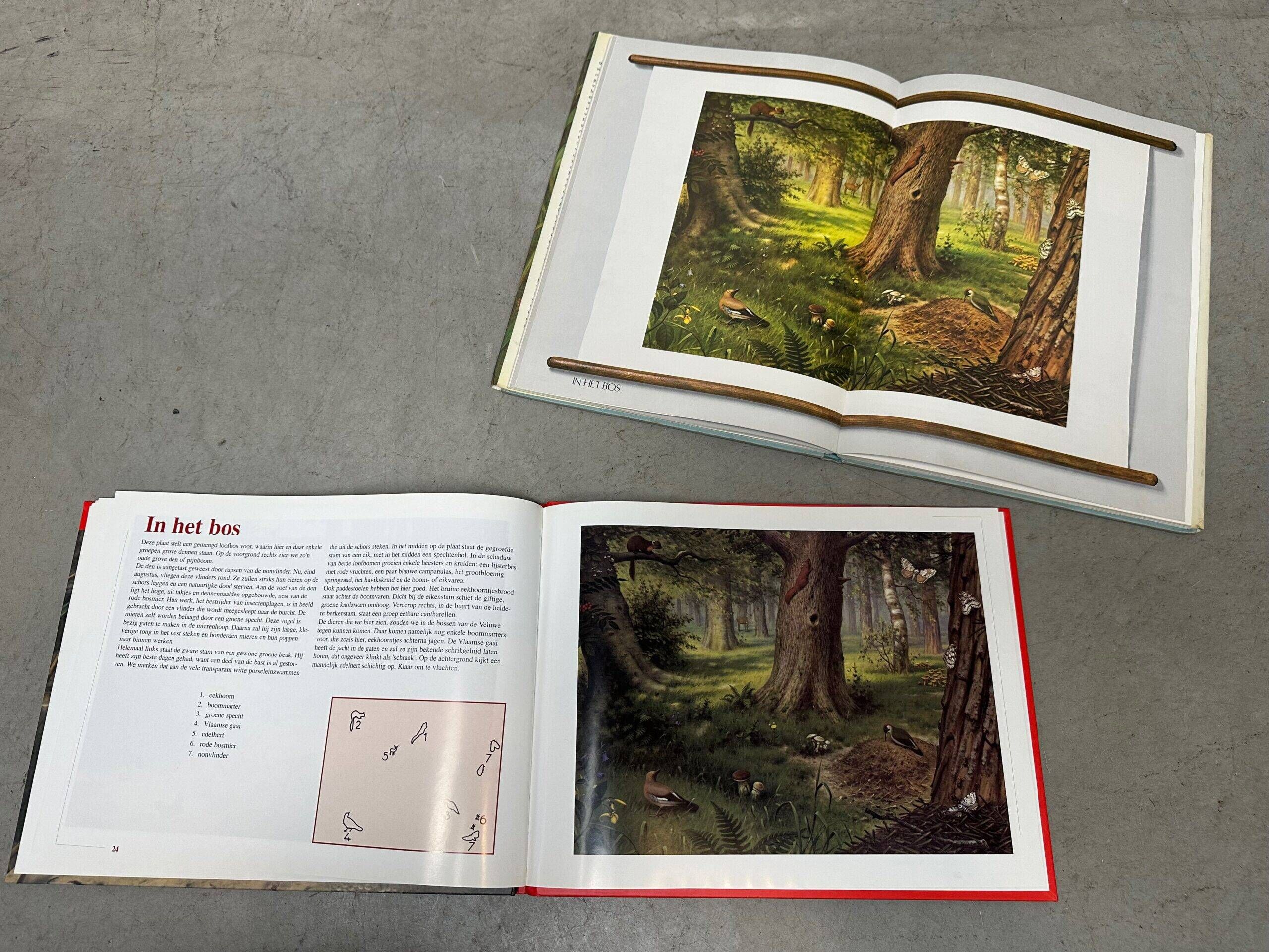 Vintage linen school chart – In the forest (M.A. Koekkoek)