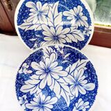 5 soup plates with English skullcaps