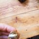 12 golden mocha spobbles and sugar claws