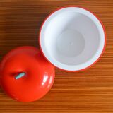 Vintage ice apple