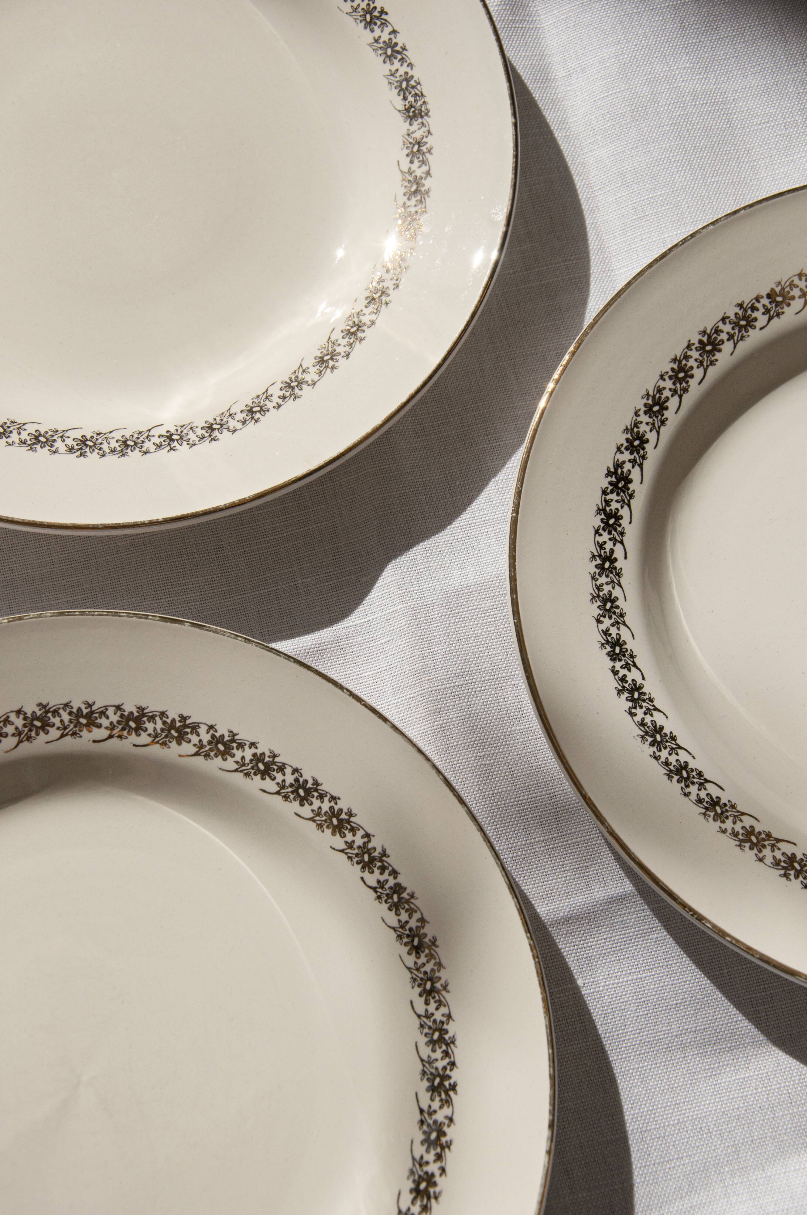 Flat plates Digoin & Sarreguemines