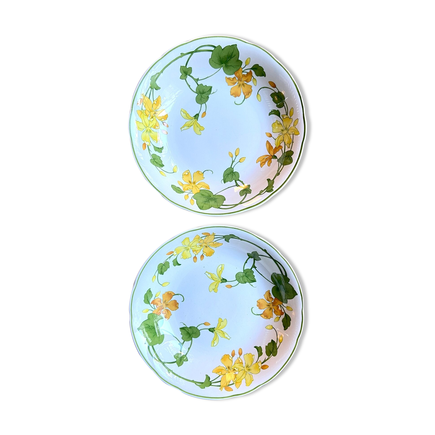 Pair of Villeroy & Boch hollow plates in glazed earthenware model Geranium