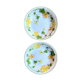 Pair of Villeroy & Boch hollow plates in glazed earthenware model Geranium
