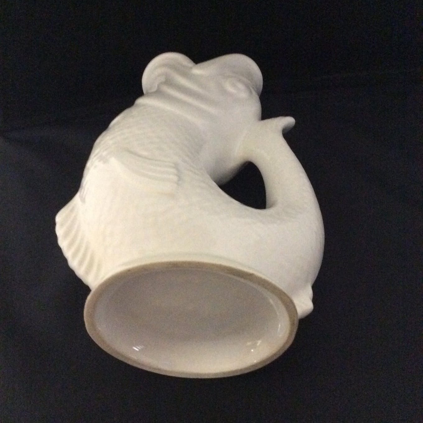 Pitcher shaped fish,Devon