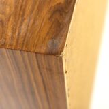 Scandinavian walnut chest of drawers, Sweden, 1960