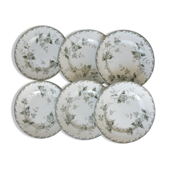 Lot de 6 assiettes plates modèle "Rosette" st Amand