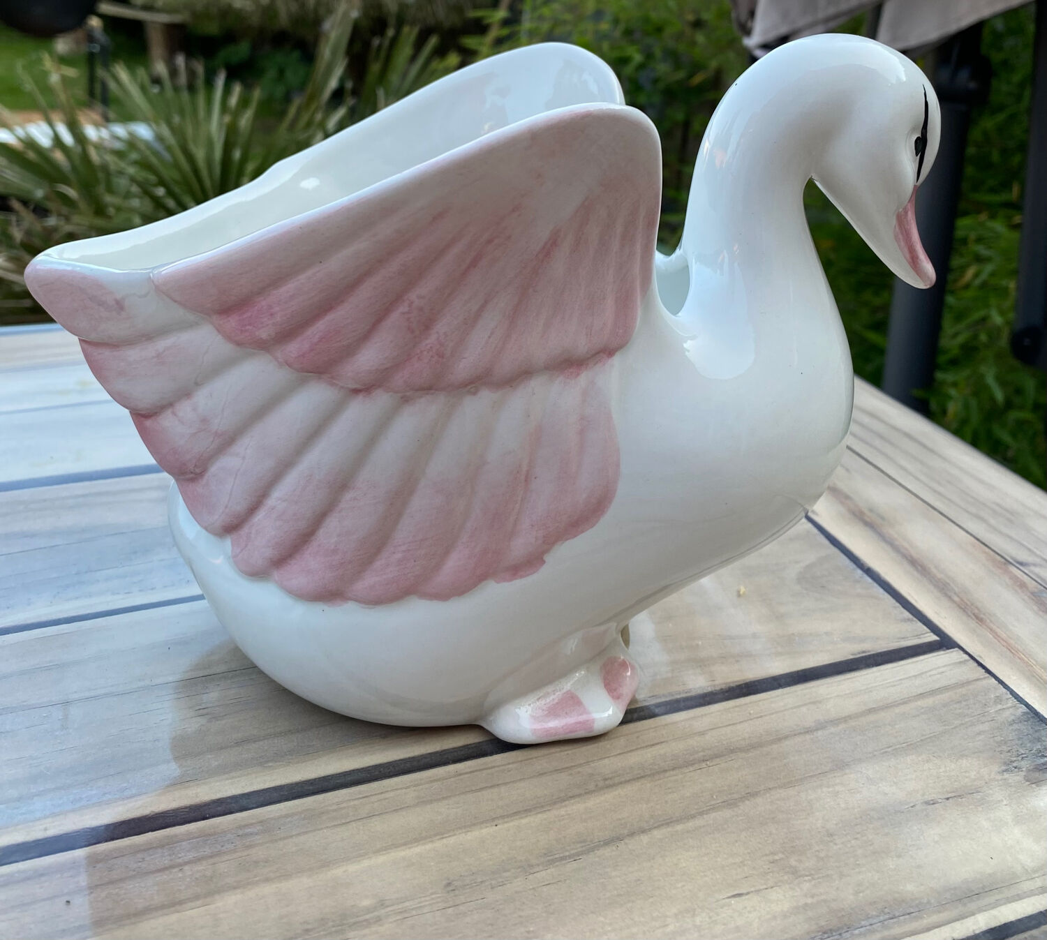 Swan plant pot