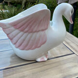 Swan plant pot