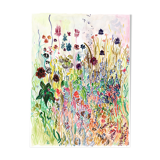 Suzie's garden