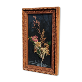 Vintage Cana of dried flowers with Edelweiss