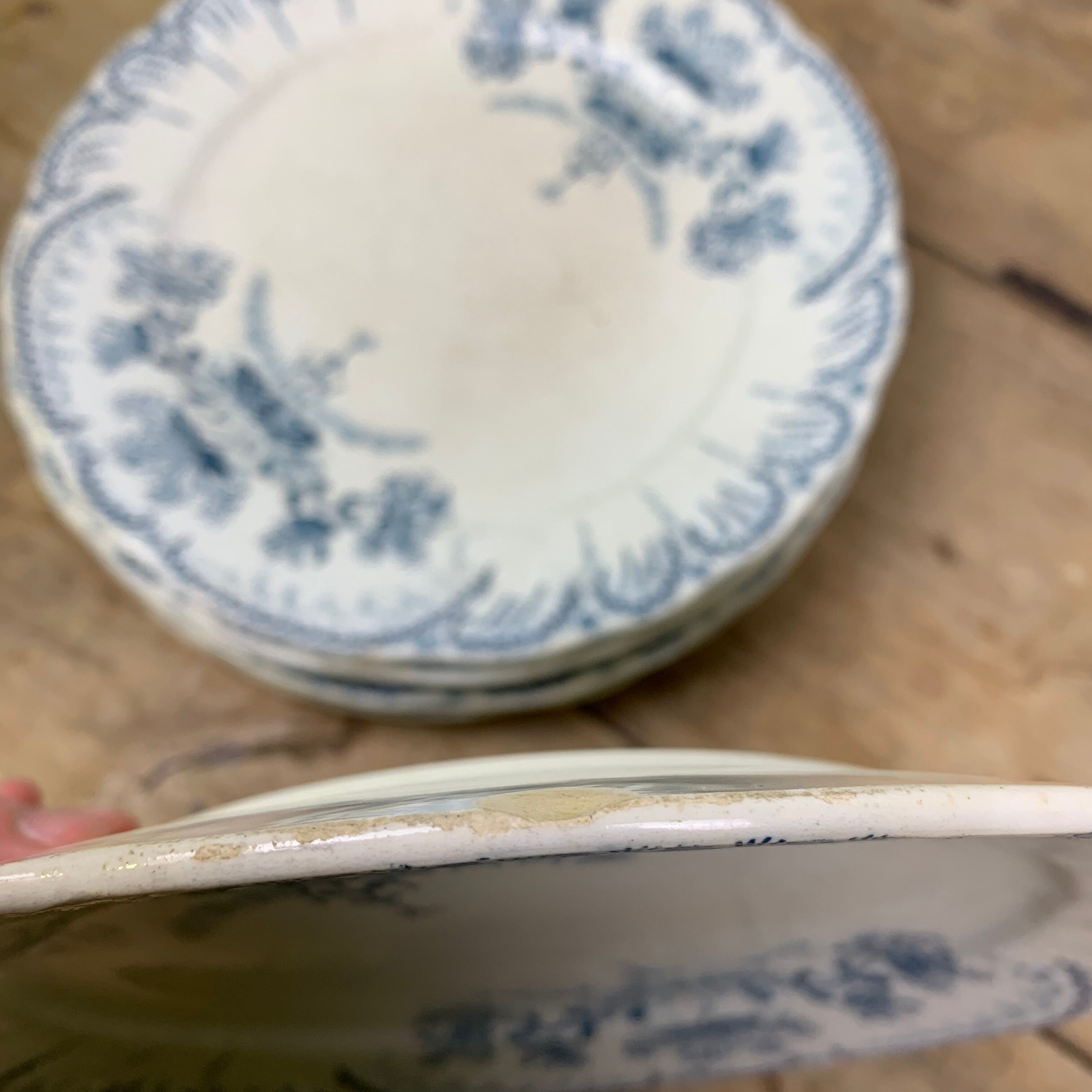 Set of 6 Saint Amand plates , Regency