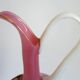 Ancienne aiguière en verre rose en blanc - camée velours