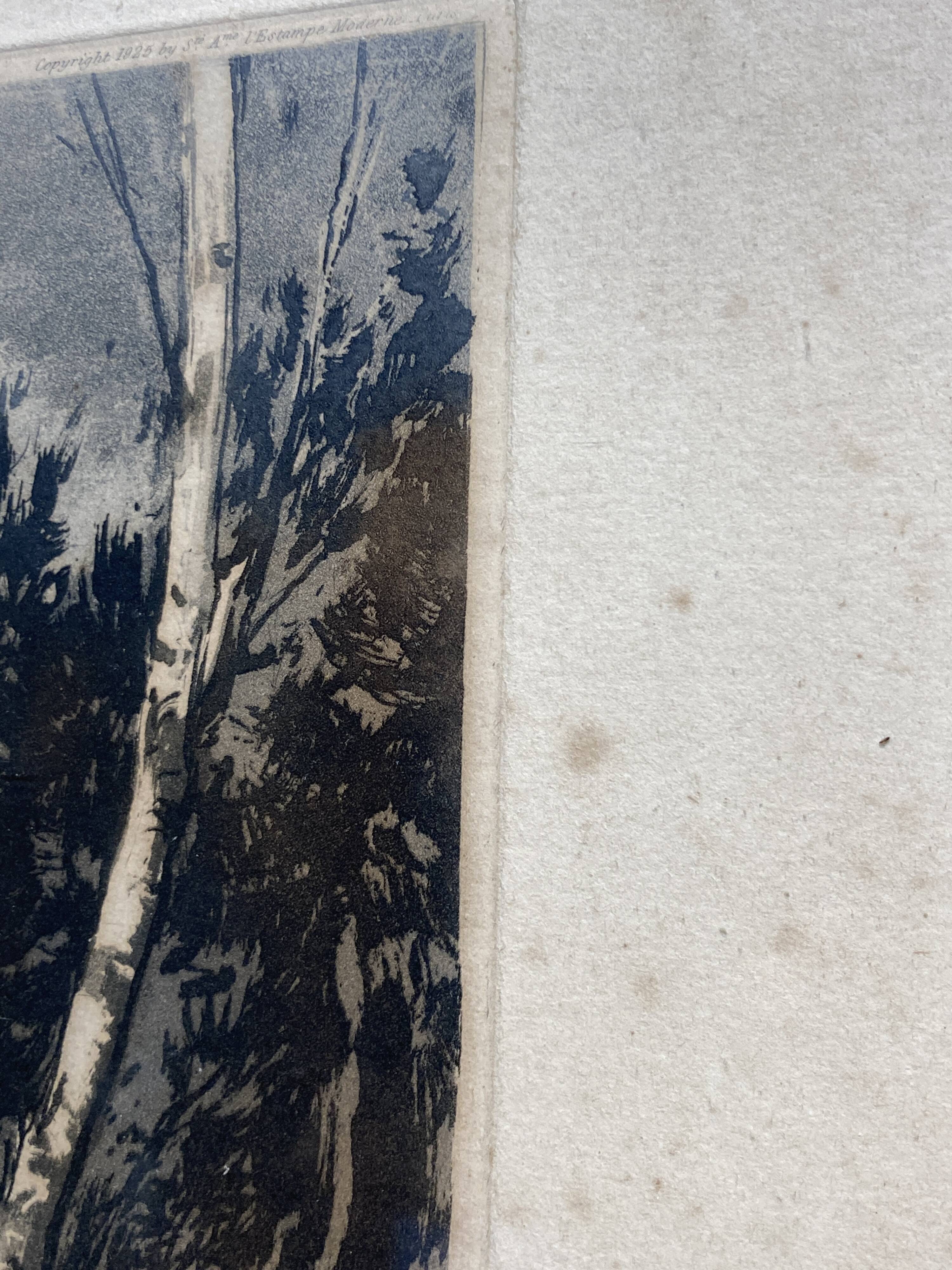 Reproduction of a 1925 F.Migini print.