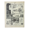 Gravure ancienne 1898, Algérie, faune et flore, arabe • Lithographie, Planche originale