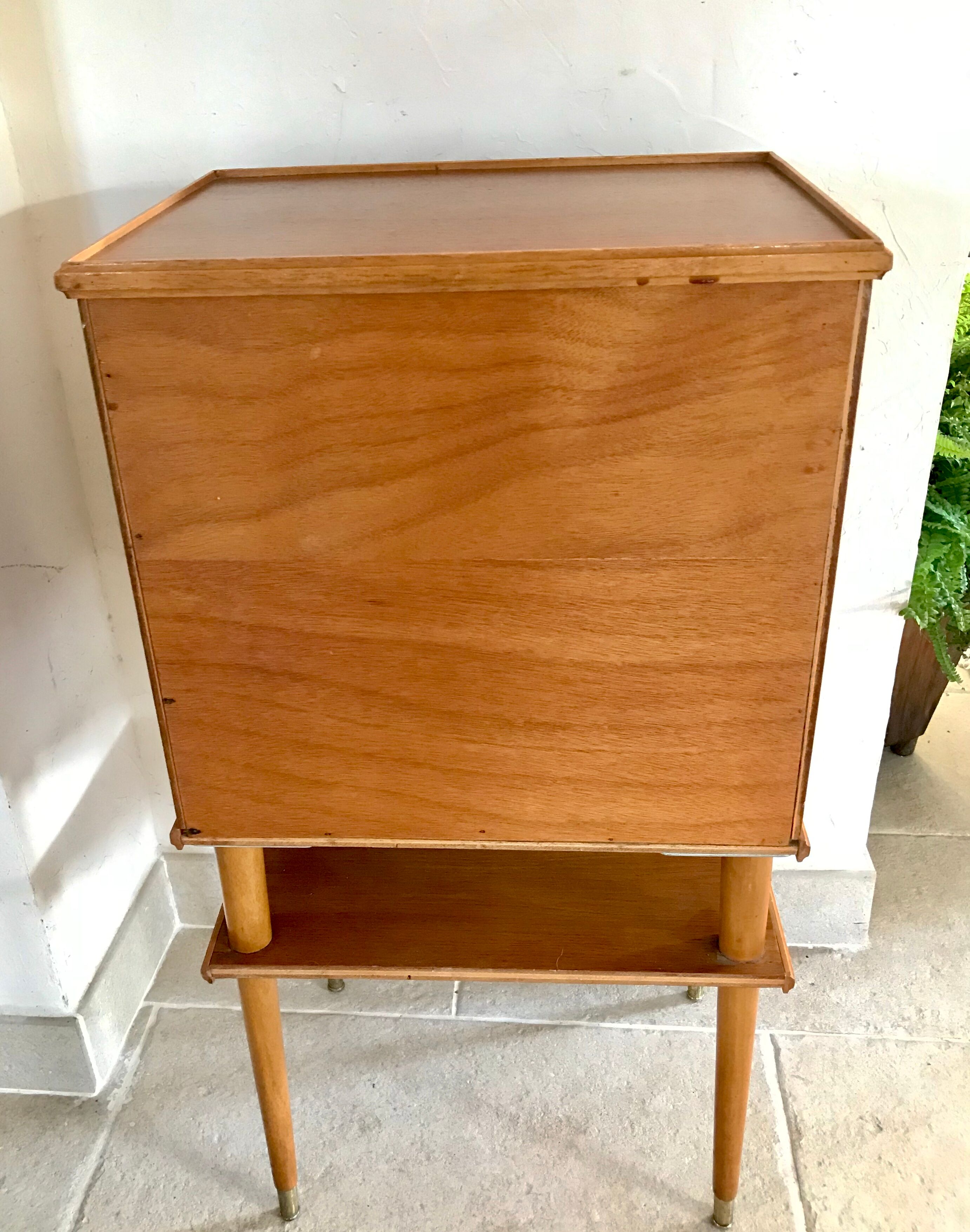 Furniture storage for vinyls 1950