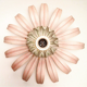 Applique vintage fleur