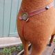 Antique rocking horse