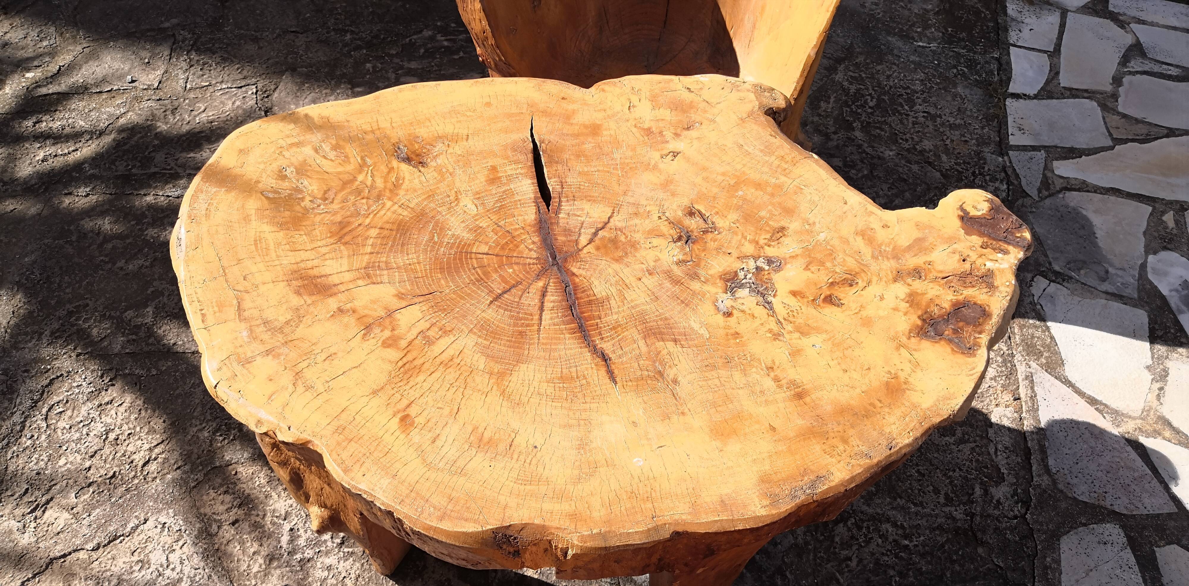 Living room 2 armchairs & coffee table in elm brutalist design 1950