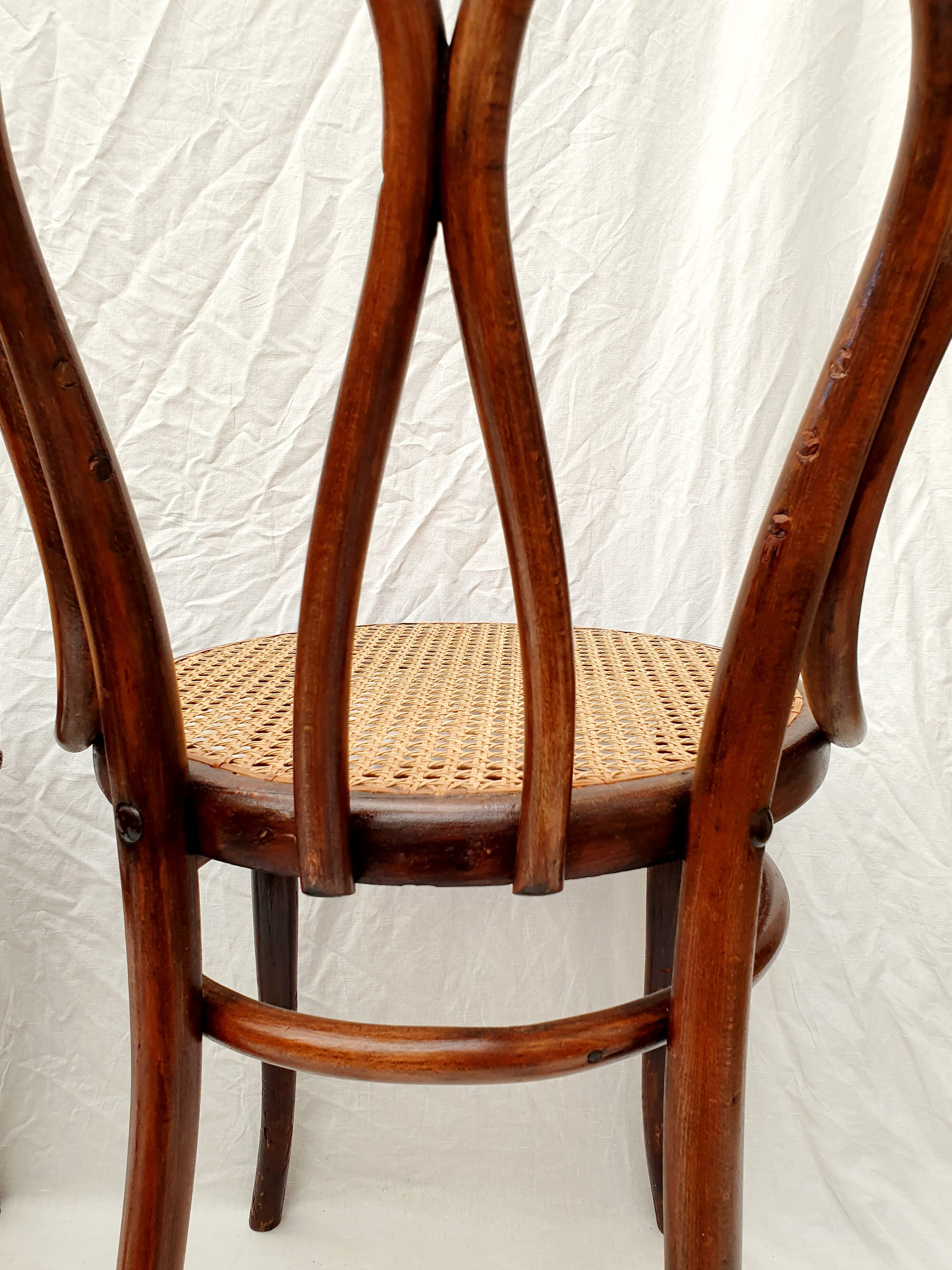 Paire de chaises cannées J&J Kohn  n°36