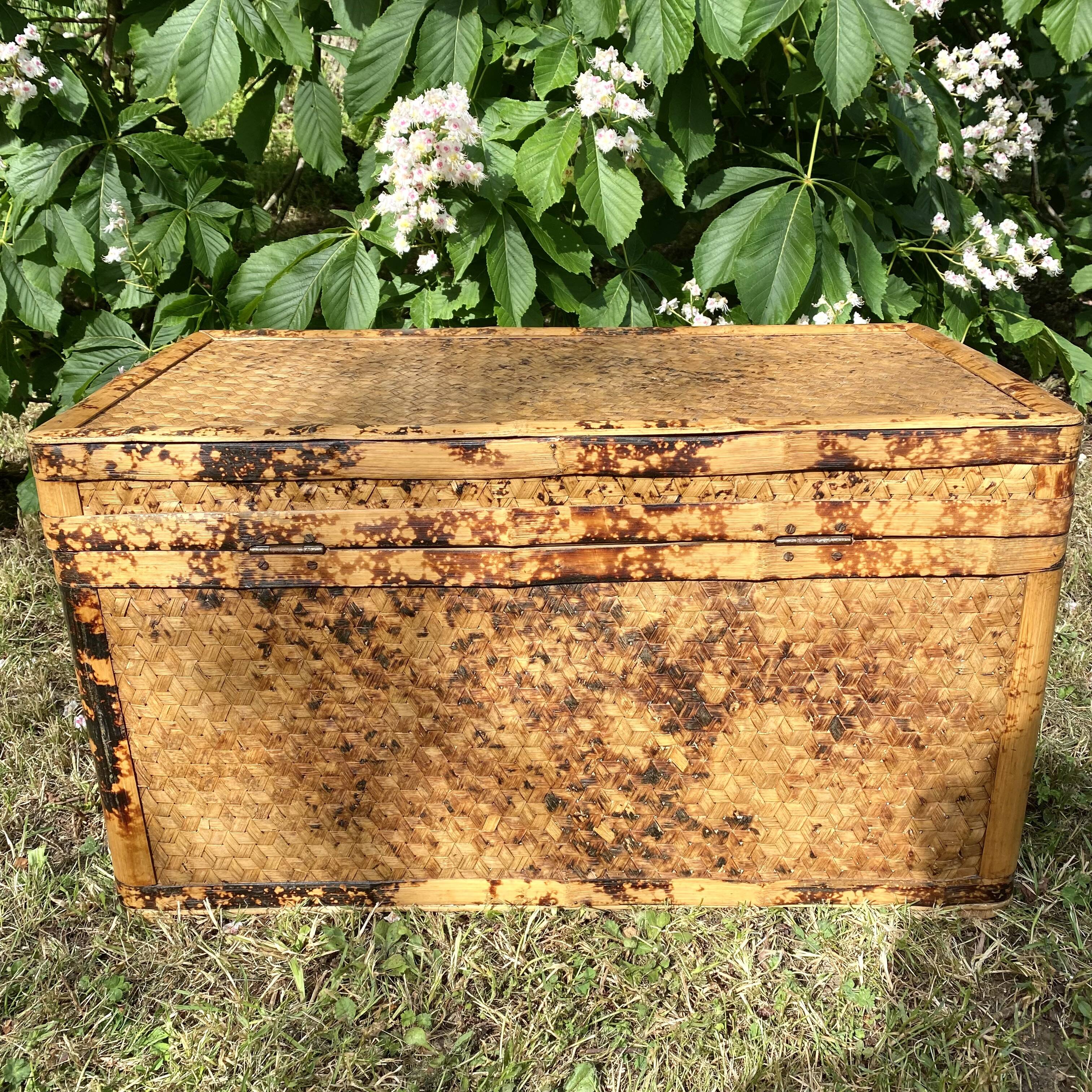 Vintage bamboo trunk