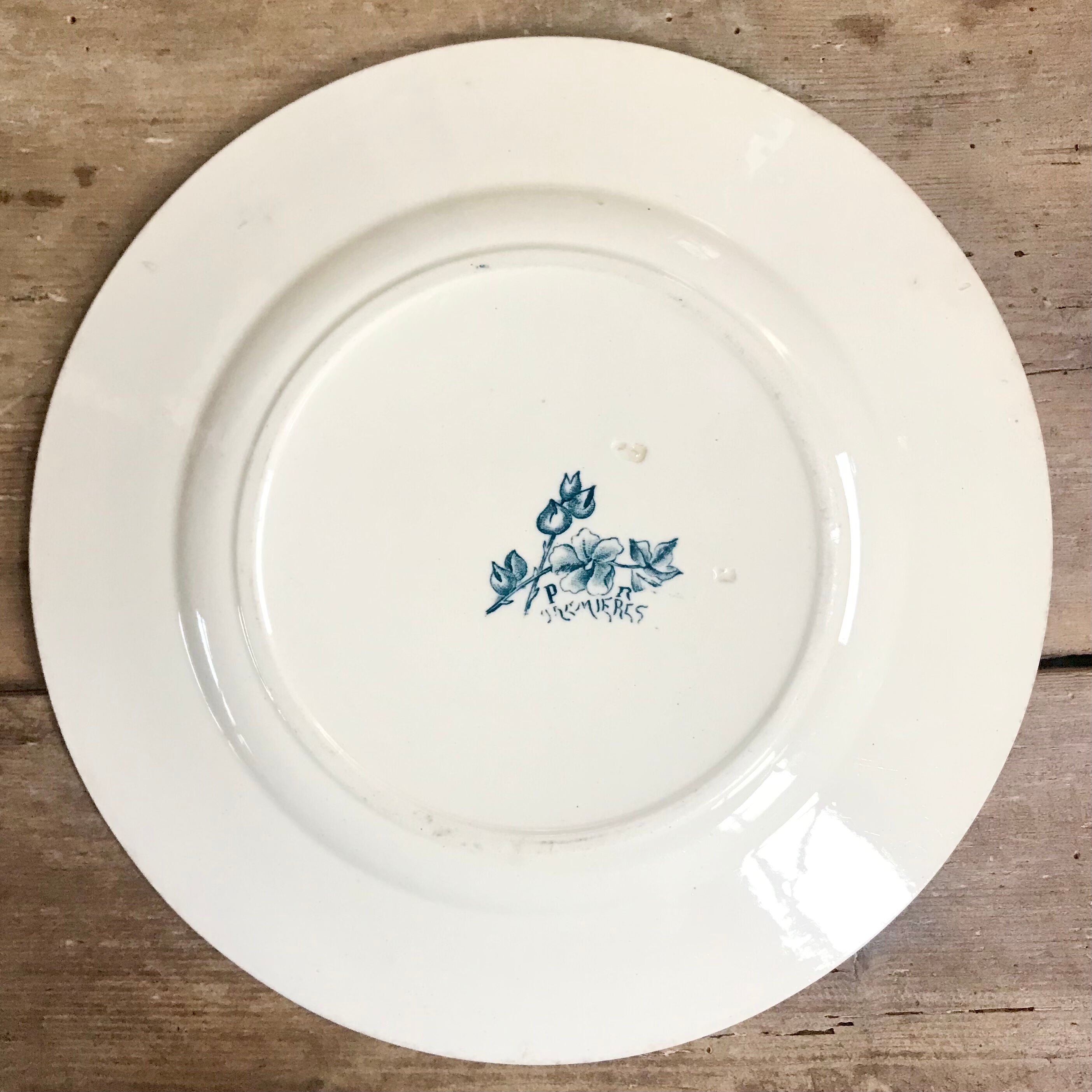 Tremière iron earth plate