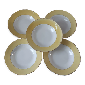 Set of 5 hollow plates Badonviller yellow chick 50-60s
